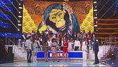 La bandiera musicale dei Belli