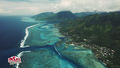 Moorea, montagna, foreste e acue da sogno