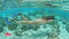 Le isole della Società