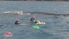 Un incontro speciale