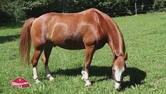 Turismo responsabile