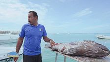 La pesca ad Aruba