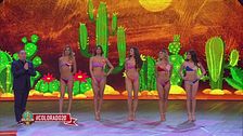Miss Colorado 2019