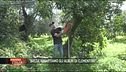 Il gesto estremo degli agricoltori