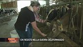 Imprese, chi resiste alla crisi
