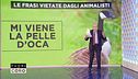 Mercoledì 5 dicembre