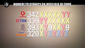 VIVIANI: Top number: i numeri di cellulare dei sogni e un'asta contro il cancro