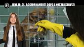 INNOCENZI: Aggiornamenti Iene.it, i cani salvati dal macello di Yulin