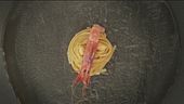 Sapore di mare