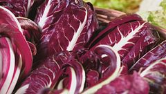 I consigli utili di Gianluca Mech