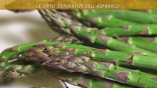 Le virtù degli asparagi