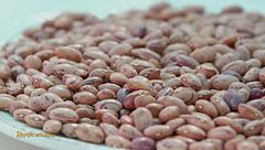 I benefici dei fagioli