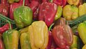 Le virtù bnefiche dei peperoni