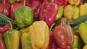 Le virtù bnefiche dei peperoni