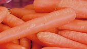 Le virtù della carota