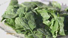 Gli spinaci