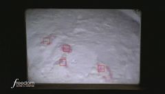 Il protogeroglifico della piramide di Cheope