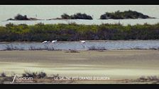 Puglia, le saline più grandi d'Europa