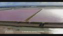 L'alga rosa delle saline di Margherita di Savoia