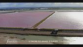 L'alga rosa delle saline di Margherita di Savoia