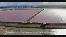 L'alga rosa delle saline di Margherita di Savoia