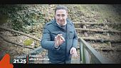 Freedom: martedì alle 21.25