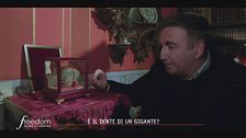 Il giallo del dente del gigante