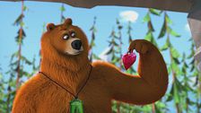 Un orso irresistibile
