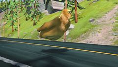 L'orso attacca e stacca