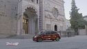 Il mondo delle ibride