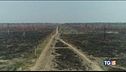 Amazzonia, deforestazione cresciuta del 300%