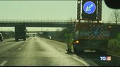 Branco di cinghiali, morte in autostrada