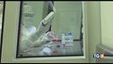 Cure top secret per Schumacher