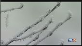 Tornano gelo e neve verso picco influenza