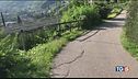 Fermata la madre del bimbo morto a Merano