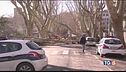 Il comune assume giardinieri invalidi