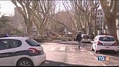 Il comune assume giardinieri invalidi