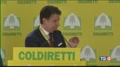 Conte, allarme per dazi "Ci farebbero molto male"