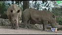 Nuovi ospiti al Bioparco