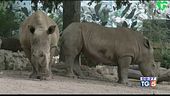 Nuovi ospiti al Bioparco