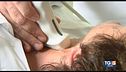 L'importanza delle carotidi