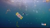 Mare di plastica