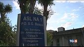 Novità sulle formiche all'ospedale San Giovanni Bosco