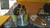 Protesta del latte è il "pecorino day"