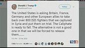 Gli 800 jihadisti di Donald Trump