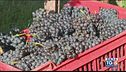La vendemmia del nebbiolo