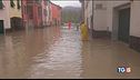 Alluvioni, alberi caduti. Il maltempo non molla
