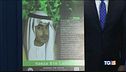 Una taglia sul figlio di Osama Bin Laden