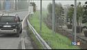 Un'autostrada invasa da caprioli e cinghiali
