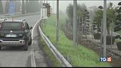 Un'autostrada invasa da caprioli e cinghiali